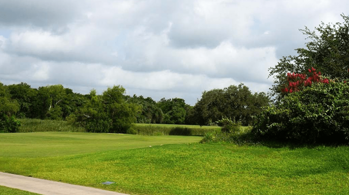 fairway on golf course green